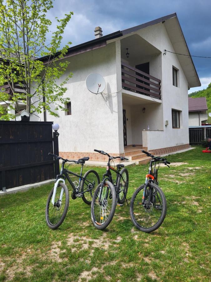 Casa Mi&Ra Villa Lepşa Exterior foto